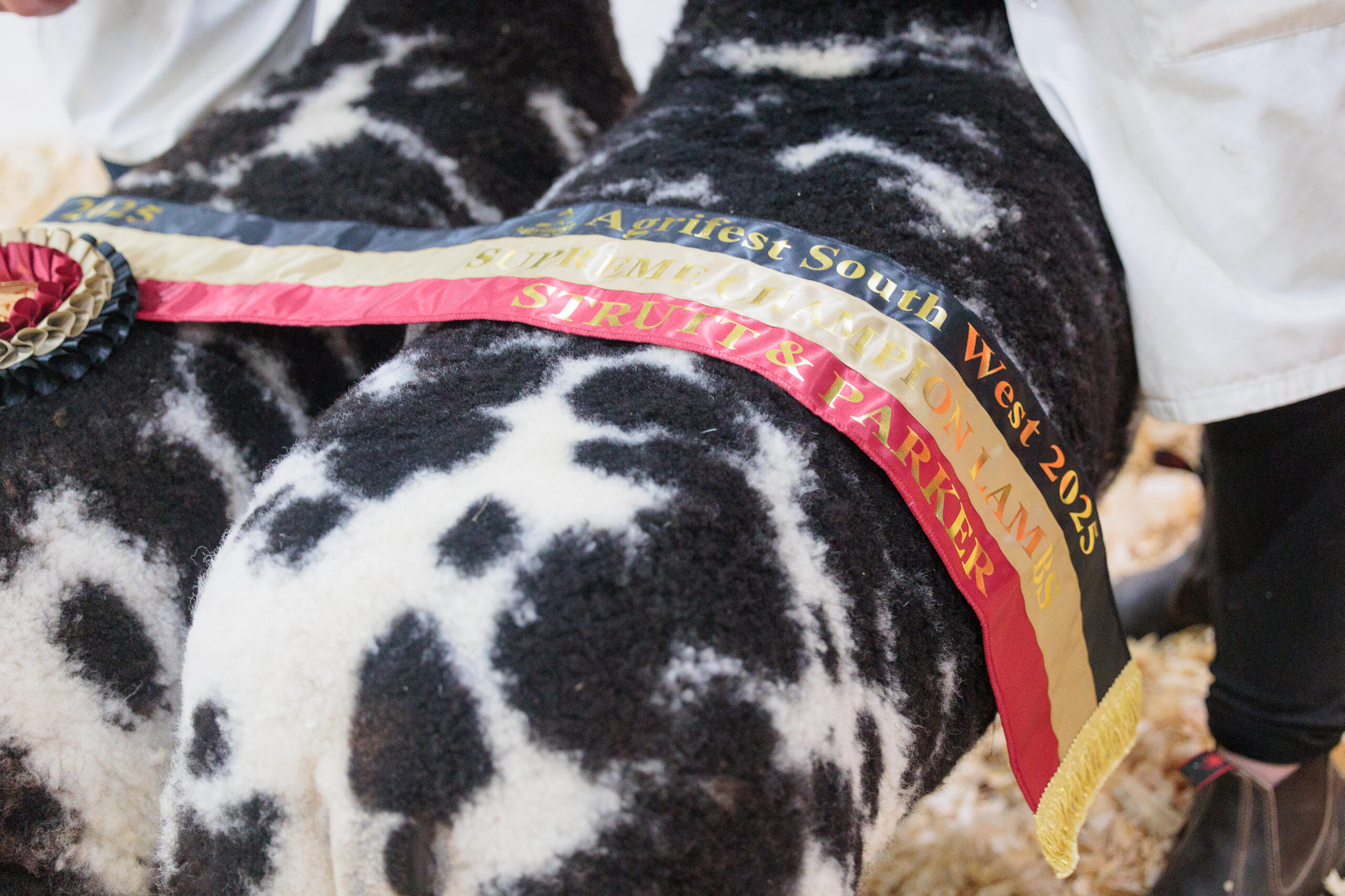 Equestrian Pop-Up Market