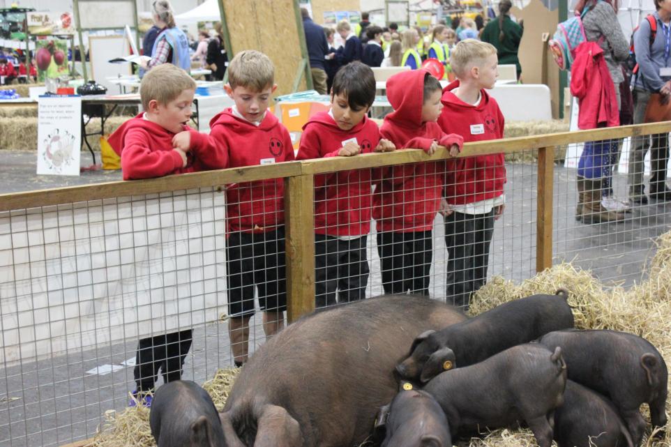 Children learning about farming at Farmwise education day at Westpoint