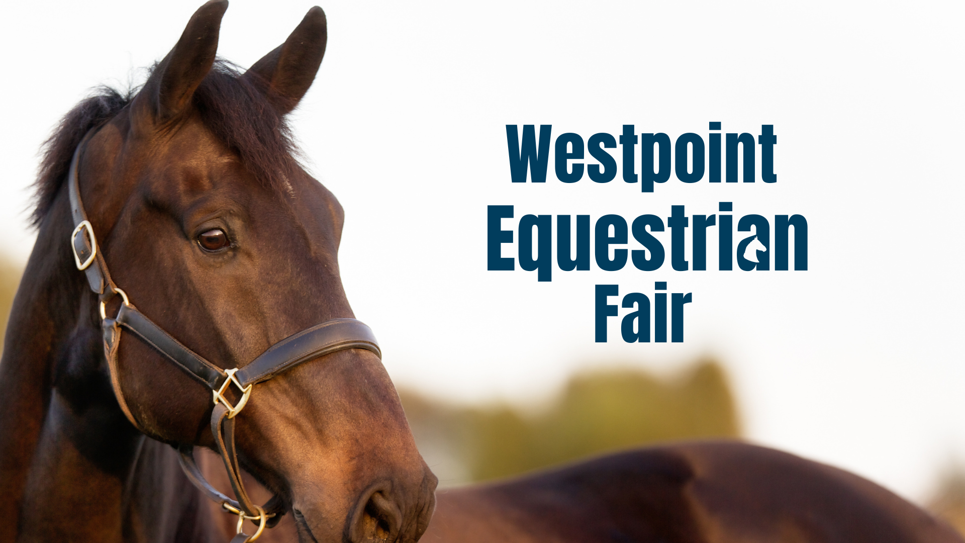 Equestrian Pop-Up Market