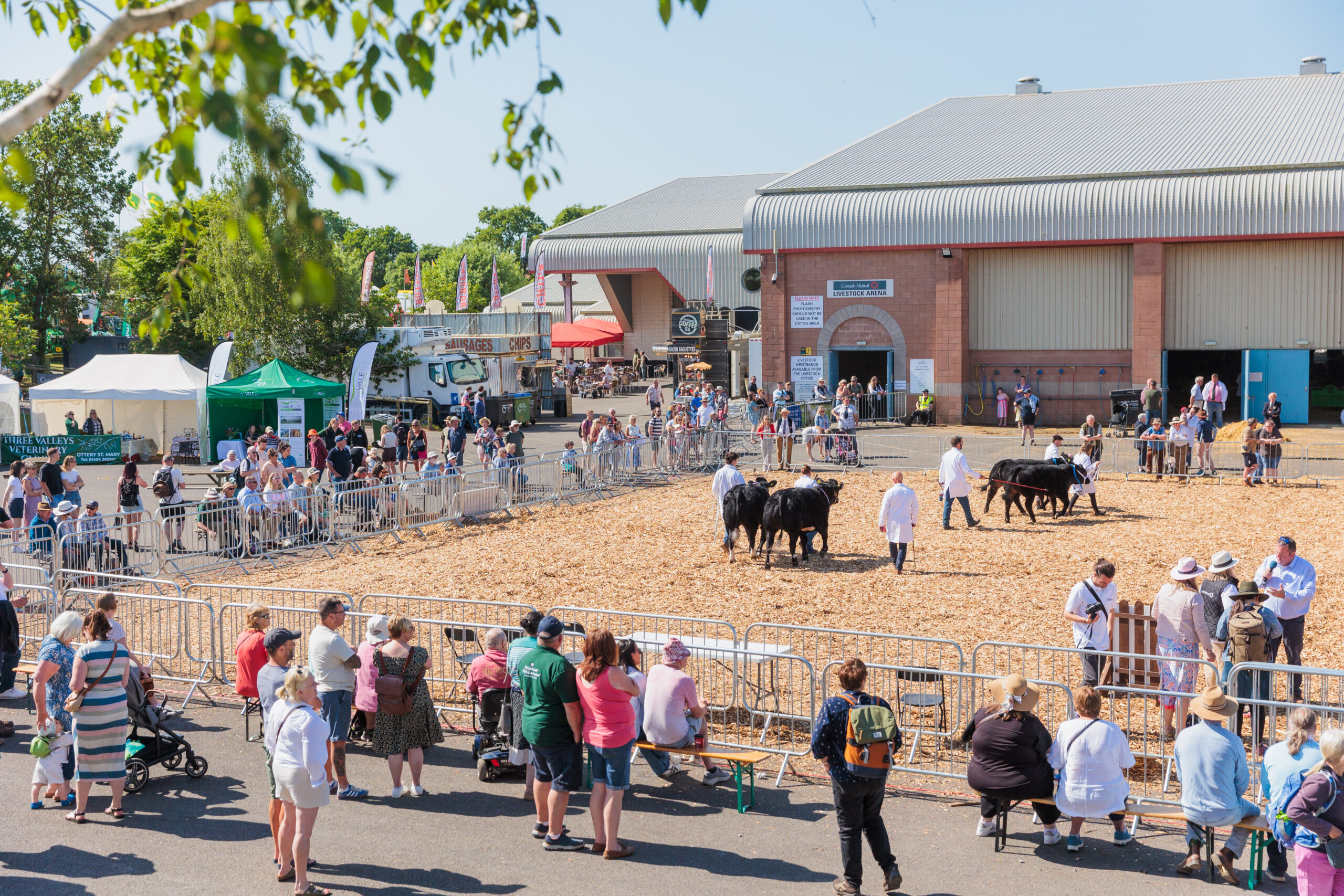 View of the Devon County Show 2025